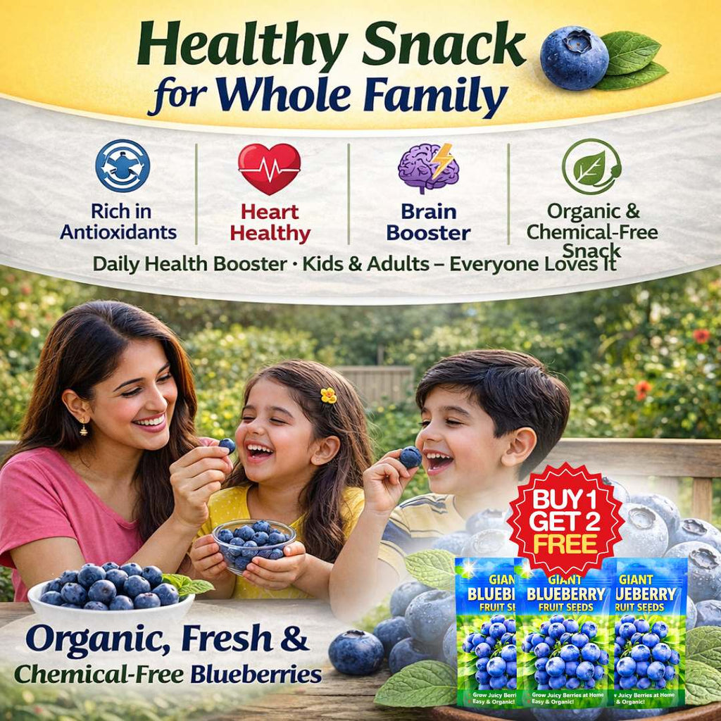 Premium Giant Blueberry Fruit Seeds | BUY 1 GET 2 FREE